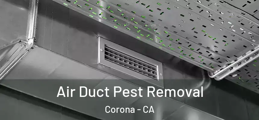  Air Duct Pest Removal Corona - CA