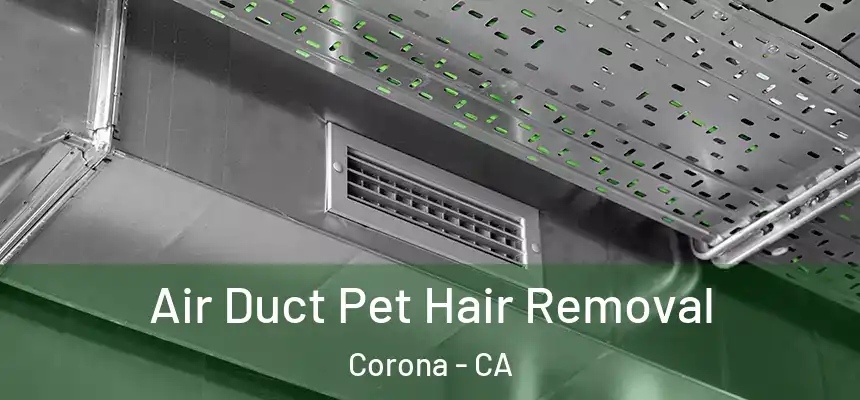  Air Duct Pet Hair Removal Corona - CA