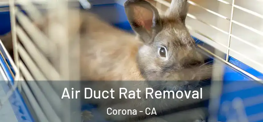  Air Duct Rat Removal Corona - CA