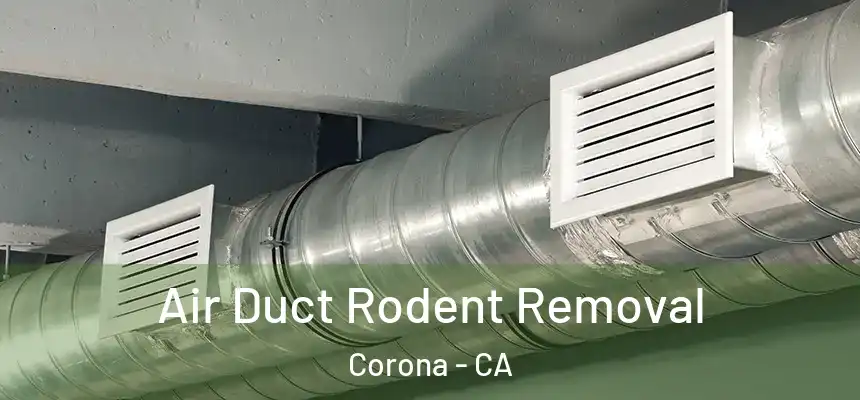  Air Duct Rodent Removal Corona - CA