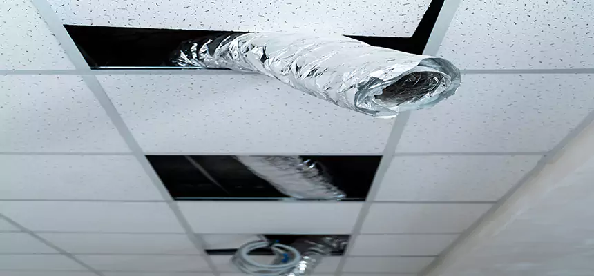 Our Air Duct Pet Hair Removal Services in Corona, CA