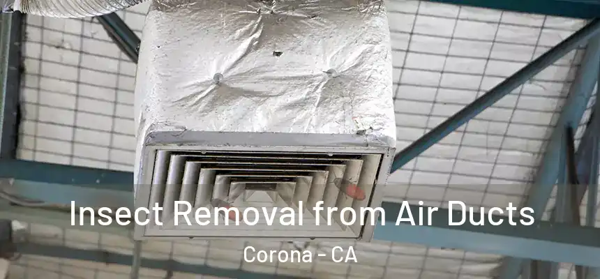 Insect Removal from Air Ducts Corona - CA