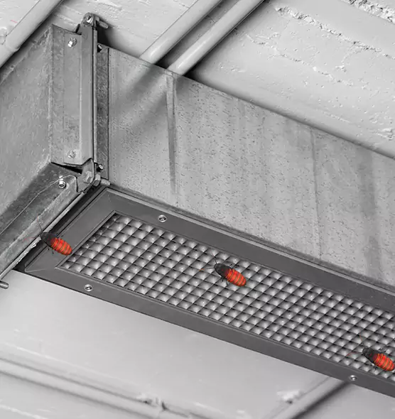 Affordable Insect Removal from Air Ducts in Corona, CA
