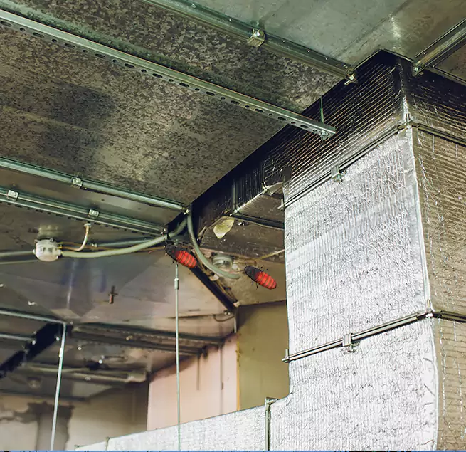 Why Homeowners & Businesses Trust Us in Corona, CA?