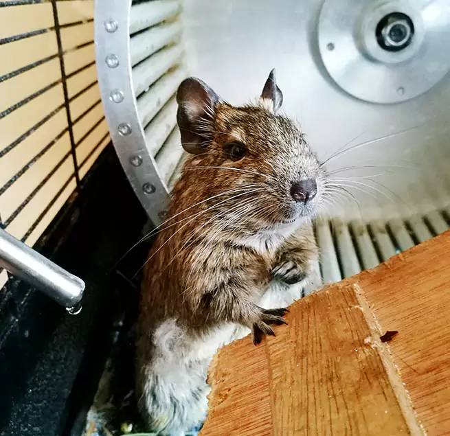 Why Homeowners & Businesses Trust Us Corona, CA