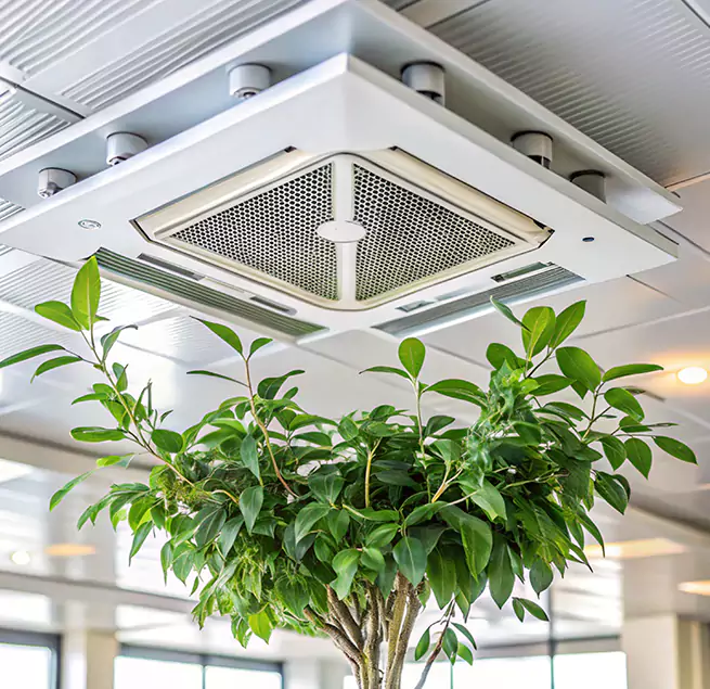 Why Homeowners & Businesses Trust Us in Corona, CA