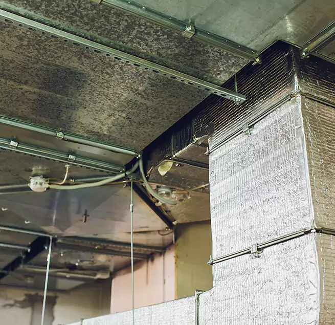 Why Homeowners & Businesses Trust Us in Corona, CA?